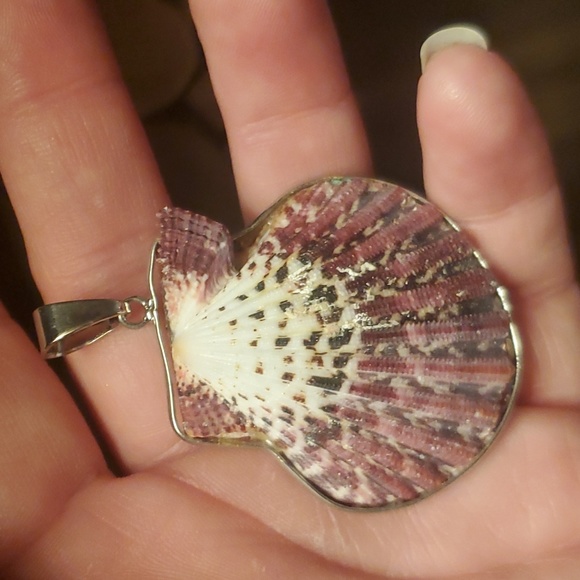 New Silver Wrapped Natural Seashell Scallop Shell Pendant. - Picture 6 of 7
